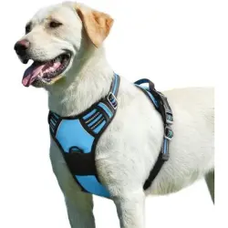 Pawffee Arnés reflectante antitirones para perros asa, talla grande, azul - 1 pieza