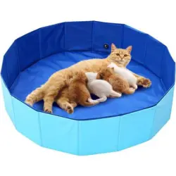 Qinhul Piscina plegable para gatos y perros - azul