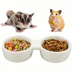 ZooVenture Cuencos dobles de cerámica para animales pequeños - 1 pieza
