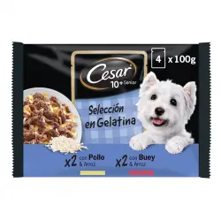 Cesar Carnes Mixtas Gelatina en Bolsita para Perros Senior - Multipack