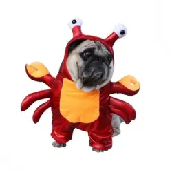 FurryFusion Disfraz de Halloween con forma de cangrejo rojo para perros - SG