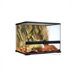 Exo Terra Terrario 121 L M-wide 60x45x45 Cm