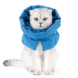 FurryFusion Collar antilamido para gatos - Lago Azul S