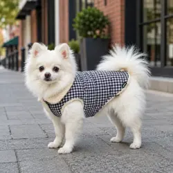 Gotoo Abrigo Azul Vichy para perros