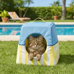 Summer Vibes Cama Cueva Azul y Amarillo para gatos - 35 x 35 x 35 cm