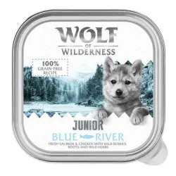 Wolf of Wilderness JUNIOR - Receta duoproteica 6 / 24 x 150 g en tarrinas - 24 x 150 g Blue River - pollo y salmón