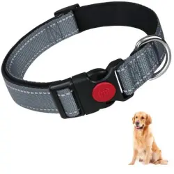 ZooVenture Collar reflectante de neopreno, talla XL - Color: Gris L