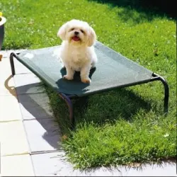 Cama Elevada Para Mascota Pequeña Resistente Exterior