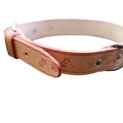 Collar Cuero Seleiro Anta Nº6