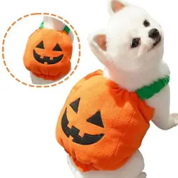 IntiMeg Disfraz de calabaza para perros - Ropa