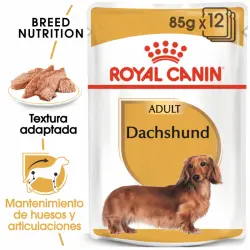 Royal Canin Teckel Adult Comida Húmeda Para Perro De Raza 12 unidades 85 gr