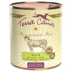 Terra Canis Menú 6 x 800 g - Ternera con mijo, pepino, melón amarillo y ajo silvestre