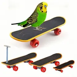 ZooVenture  interactivo para loros - 3 piezas