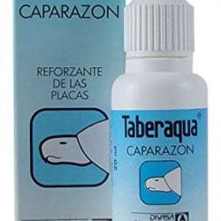 Taberaqua caparazón tortugas