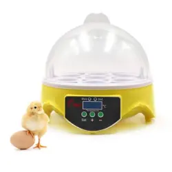 IntiMeg Incubadora automática para 7 huevos - Una pieza