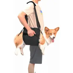 Pawffee Arnés de transporte talla M negro con soporte patas, rehabilitación - 1 pieza