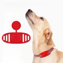 IntiMeg pañales para perros - M (35-43 cm)
