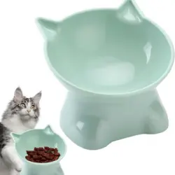 ZooVenture Comedero inclinado para gatos - 15°, verde, 13 x 7,5 cm - Bonito cuenco para gatos - Verde