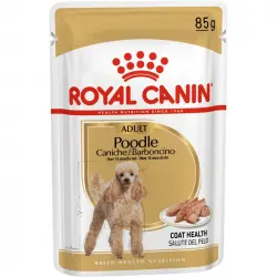 1 Pack de 12 unidades de 85 gr Royal Canin Poodle packs sobres para perros adultos
