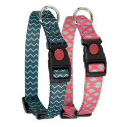 Collares y correa Fantasy Mint 20-35 cm