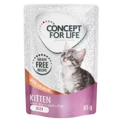 Concept for Life Kitten sin cereales con salmón en gelatina - 24 x 85 g