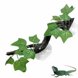 FurryFusion Ramas decorativas para terrarios de reptiles - Artículo 1
