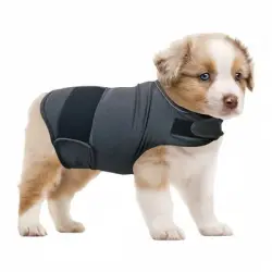 FurryFusion Ropa de confort emocional para perros - S