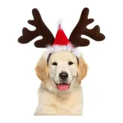 HausPets Juego de 3 diademas navideñas reno, color rojo café, perros gatos - 3 piezas