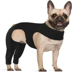 IntiMeg cinturón de sujeción para patas de perro - L