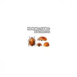Mariquita De Dos Puntos (adalia Bipunctata)