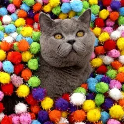 MCBOSON  de peluche para gatos de 3 cm, 20 unidades - Veinte