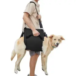Pawffee Arnés de transporte XL negro con soporte de patas, rehabilitación - 1 pieza