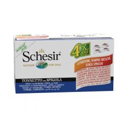 Schesir Filetes de Atún con Lubina en Gelatina lata para perros – Pack 4