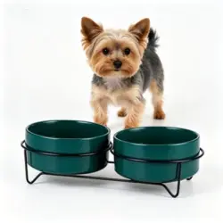 ZooVenture Comedero de cerámica para gatos - Soporte metal, 400 ml, verde - Verde mate, tamaño pequeño 13 cm