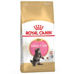 Royal Canin Feline Maine Coon Kitten 4 Kg.