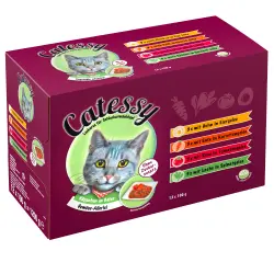 Catessy sobres con verdura en gelatina - 4 surtidos diferentes: 12 x 100 g