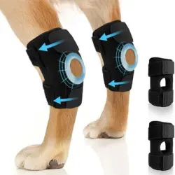 FurryFusion Protectores para las patas del perro después de la cirugía - L