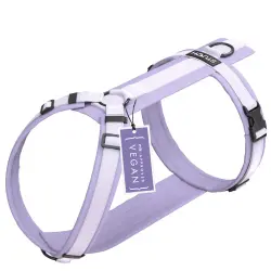 STUCH Arneses acolchado para perros (LILA, L)