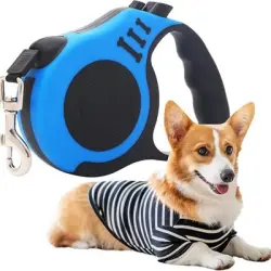ZooVenture Correa retráctil para perros - ABS, 5 m, antideslizante - Azul