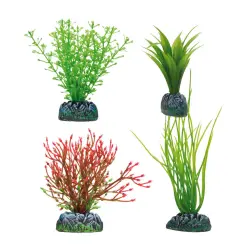 Aquatic Plants Set 4 Plantas Acoru Amazona y Chara 108 gr