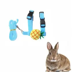 IntiMeg Arnés y correa para animales pequeños - Piña azul