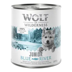Little Wolf of Wilderness 6 x 800 g - Blue River Junior, con pollo y salmón