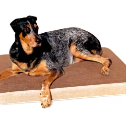 MAXTIN CAMA VISCOLÁSTICA MARRÓN PARA PERROS - 110x75x10 cm
