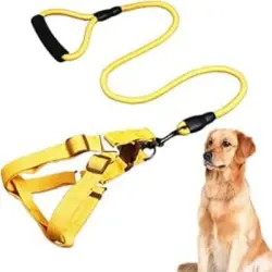 ZooVenture Correa para perros con mango de espuma y ajustable - Amarillo - S 1.5