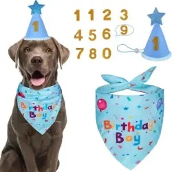 ZooVenture Kit para fiesta de cumpleaños canina: gorro y pañuelo - Grande [Azul]