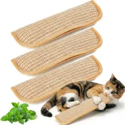 ZooVenture s para rascador de gatos Plumero de plumas 3 piezas - Juego de 3 piezas | Infuse Catnip Integre | Tamaño: 34 x 9,4 cm