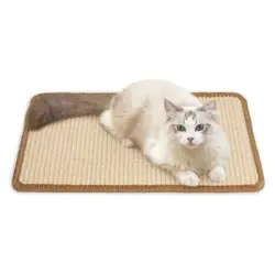 IntiMeg Alfombrilla rascador para gatos de 50 x 30 cm - Una pieza