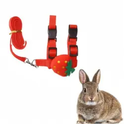 IntiMeg Arnés y correa para animales pequeños - Fresa roja