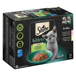 Sheba Kitten 12 x 85 g sobres comida húmeda - Exquisita variedad en salsa (salmón y pollo)