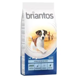 Briantos 14 kg pienso para perros ¡precio especial! - Junior